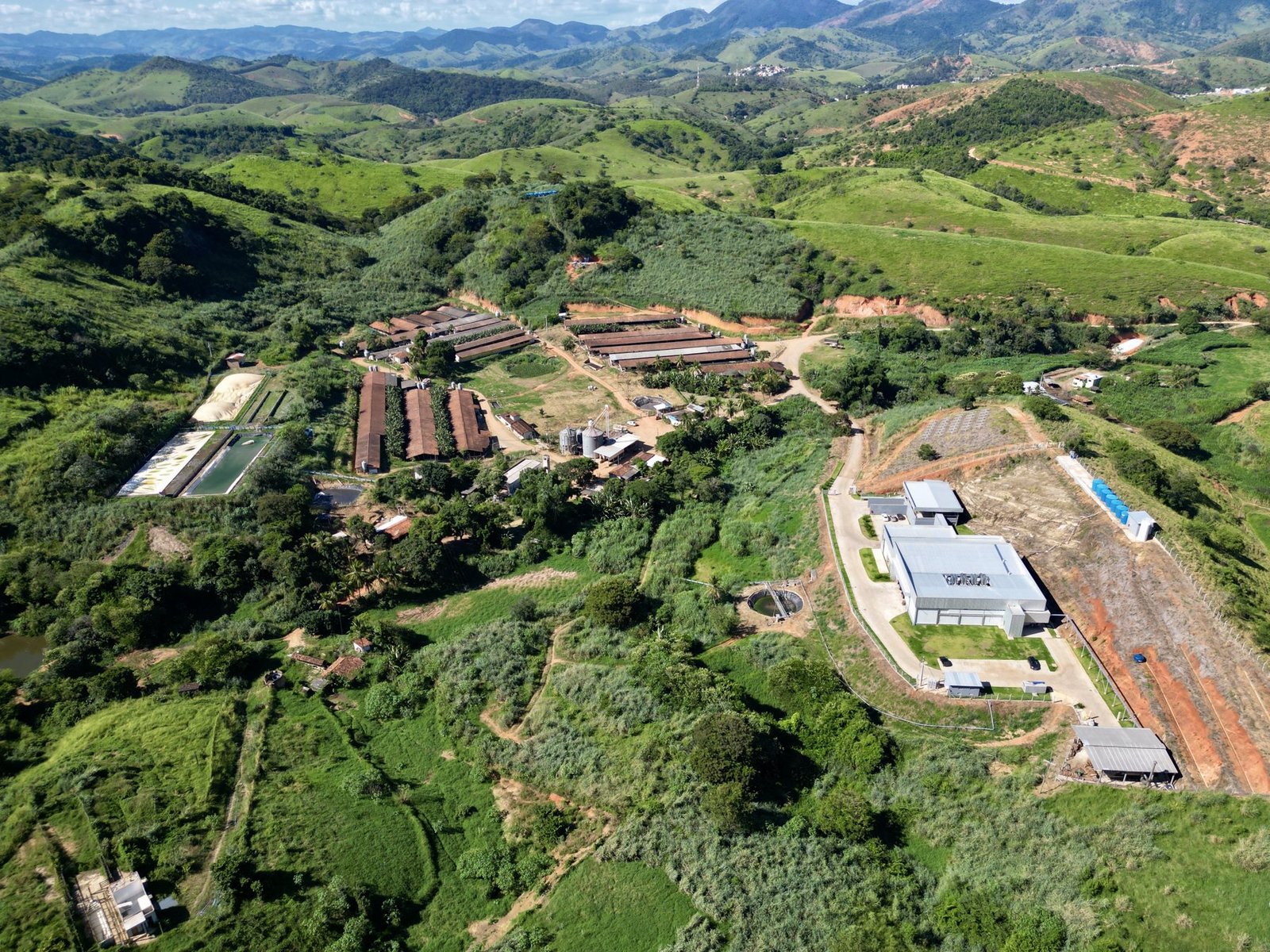 Vista aérea da Fazenda Memória em Raul Soares: granjas, frigorífico e mata entre os morros da Zona da Mata mineira.