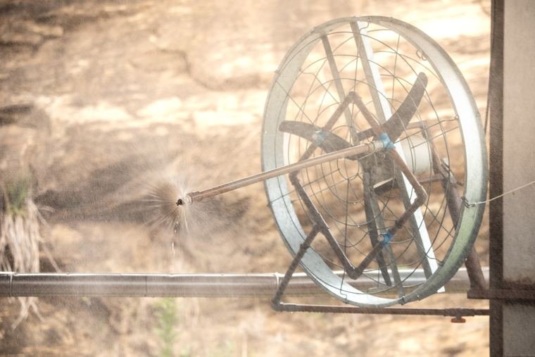 Ventilação e nebulização para o conforto térmico dos animais.