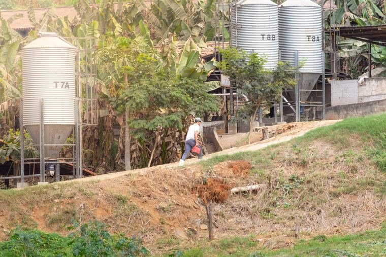 Silos de ração junto às granjas.