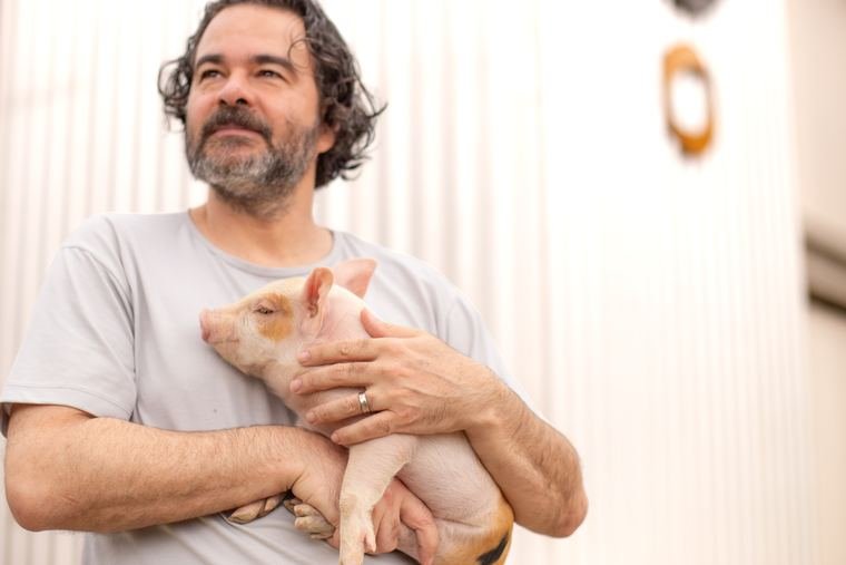 Na granja, o cuidado é de perto.